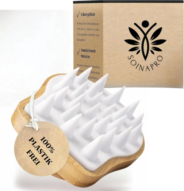 brosse bambou 1